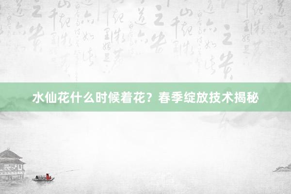 水仙花什么时候着花？春季绽放技术揭秘
