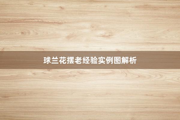 球兰花摆老经验实例图解析