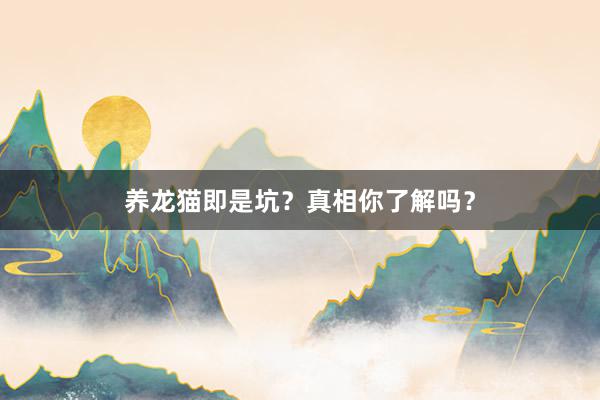 养龙猫即是坑？真相你了解吗？